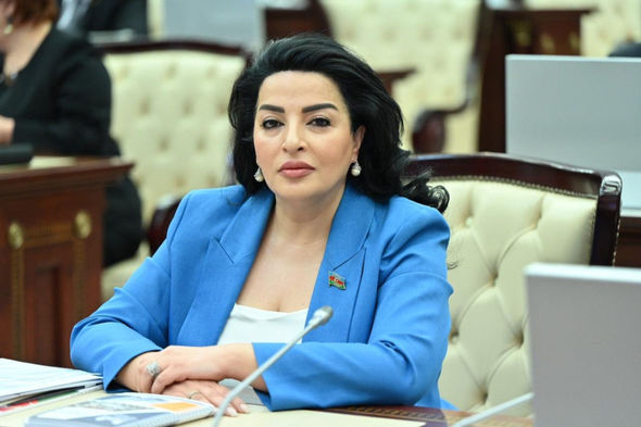 “Qarabağdakı qanunsuz rejim buraxılmalı, qanunsuz silahlı dəstələri tərksilah edilməlidir