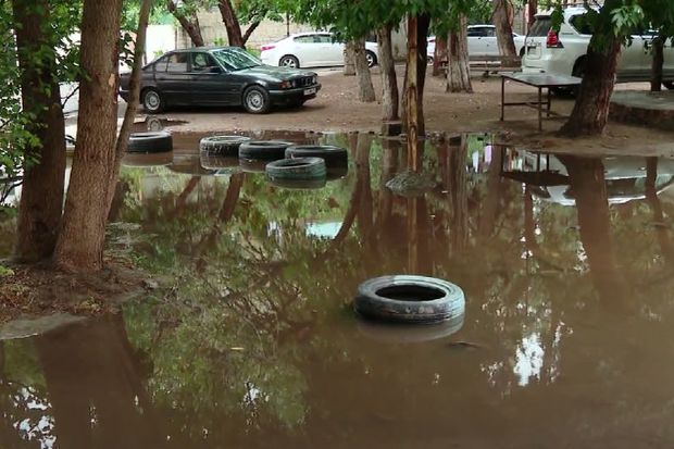 Nərimanov rayonunda antisanitar şərait sakinləri təngə gətirib - VİDEO
