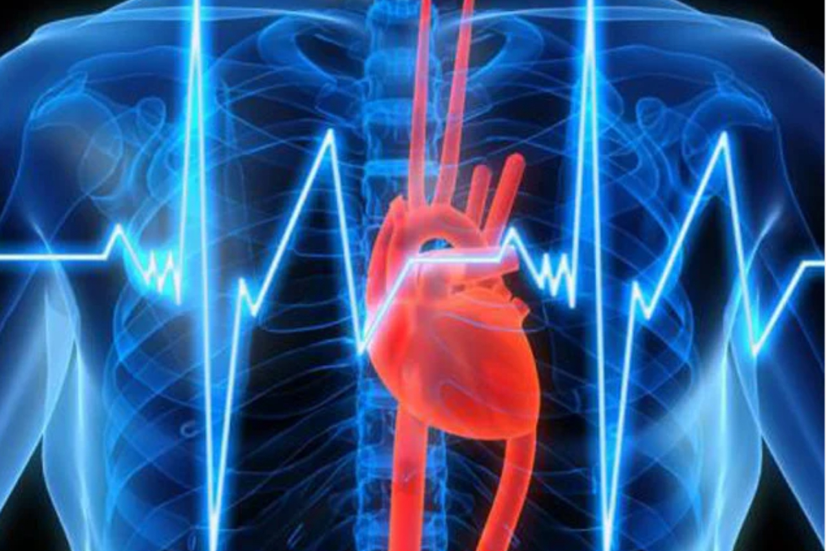 Ürək sağlamlığını qorumağın yolları - HƏKİM MƏSLƏHƏTİ