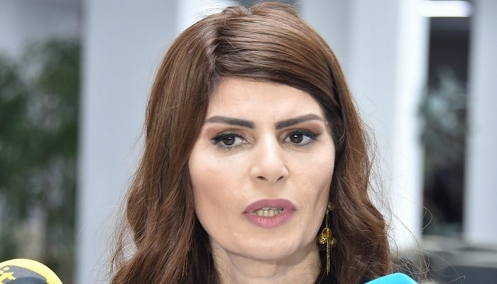 Reklamların dili səhvlərlə doludur - Sevinc Əliyeva