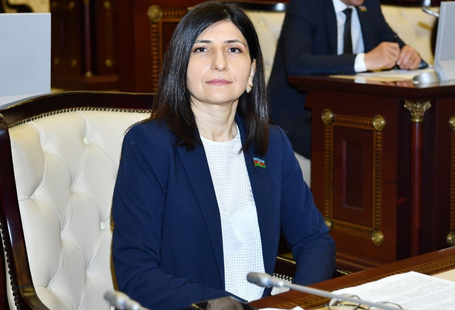 Fransada öz xidməti vəzifəsini yerinə yetirən azərbaycanlı jurnalistə təzyiq göstərilməsi utancvericidir - Sevil Mikayılova