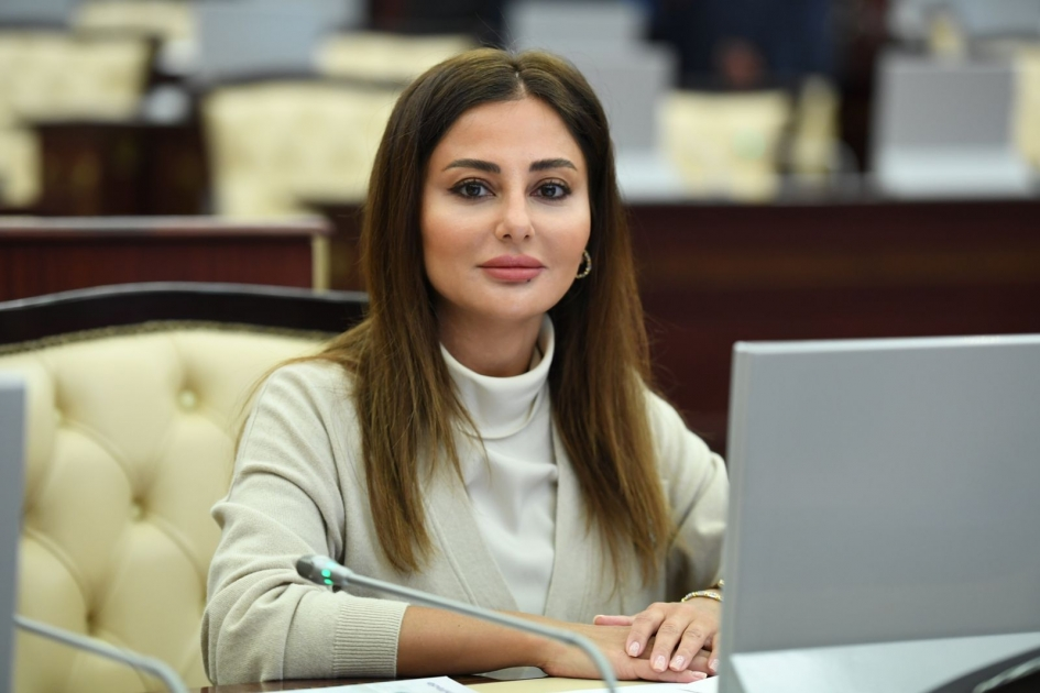 Növbədənkənar seçkilər: İlham Əliyevin xalqın siyasi dəstəyinə əminliyinin bariz göstəricisi RƏY