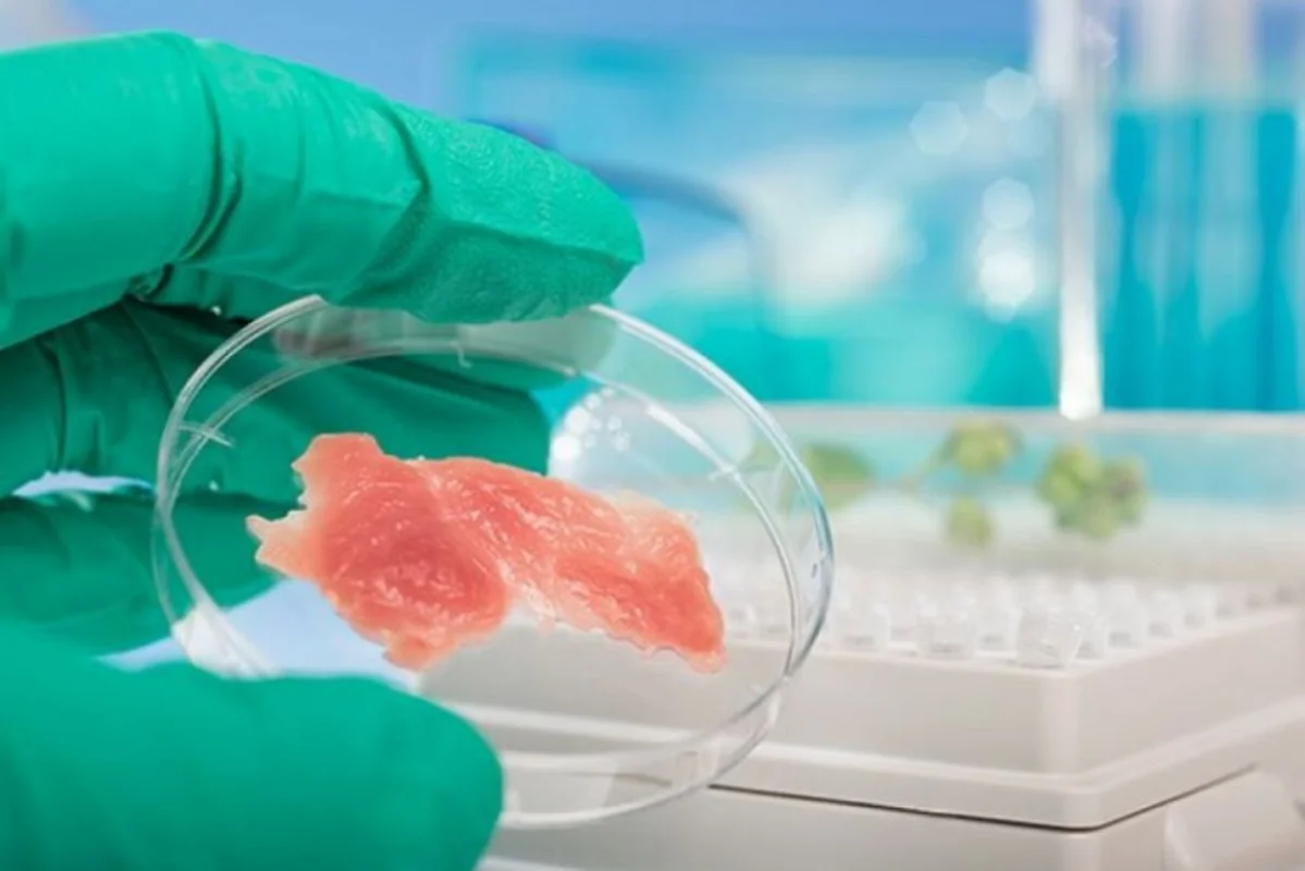 Gələcəyin əti laboratoriyadan gələcək: Steyk istehsalında İNQİLAB