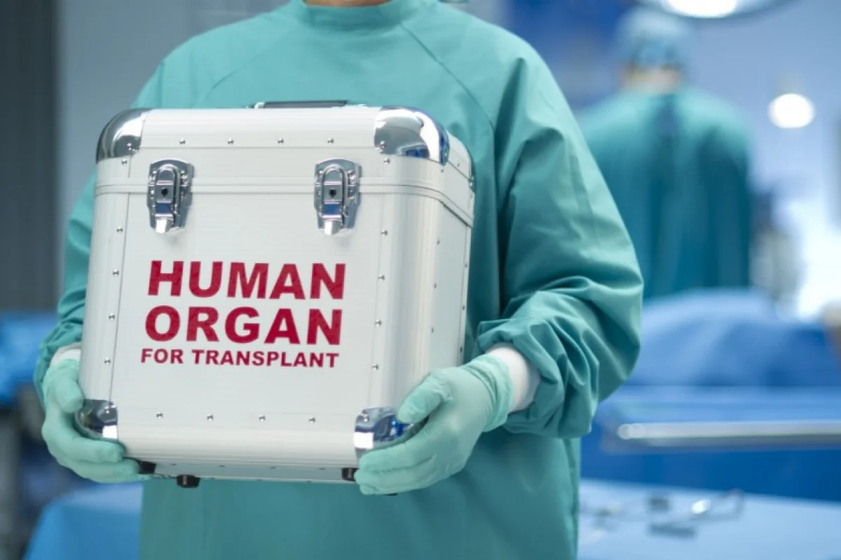 Bakıdakı tibb müəssisələrinin birində kök hüceyrələrin transplantasiyası həyata keçiriləcək - QƏRAR
