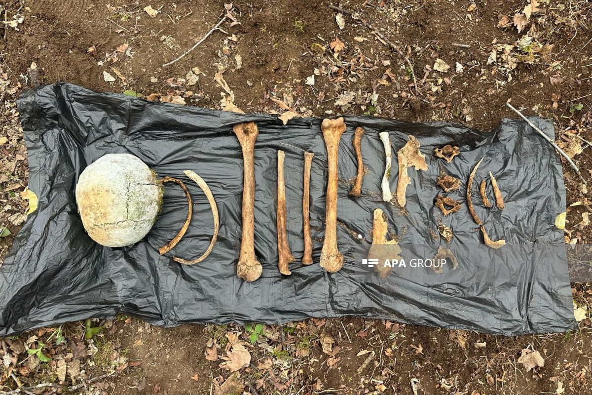 Ağdərədə iki nəfərə aid olduğu ehtimal edilən sümük fraqmentləri aşkarlanıb - YENİLƏNİB - FOTO