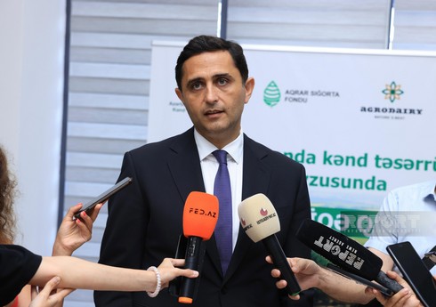 ARDNF-in aktivləri 66,5 milyard dollara çatıb