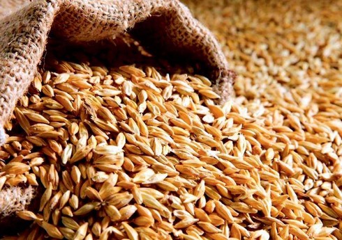 Azərbaycan buğda idxalına çəkdiyi xərci 8 % azaldıb