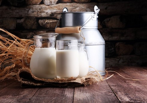 Azərbaycan süd və qaymaq idxalına çəkdiyi xərci 15 % azaldıb