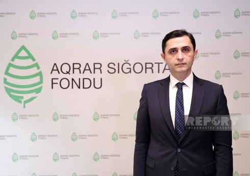 Azərbaycanda aqrar sığorta potensialının 90 %-dən istifadə olunmur
