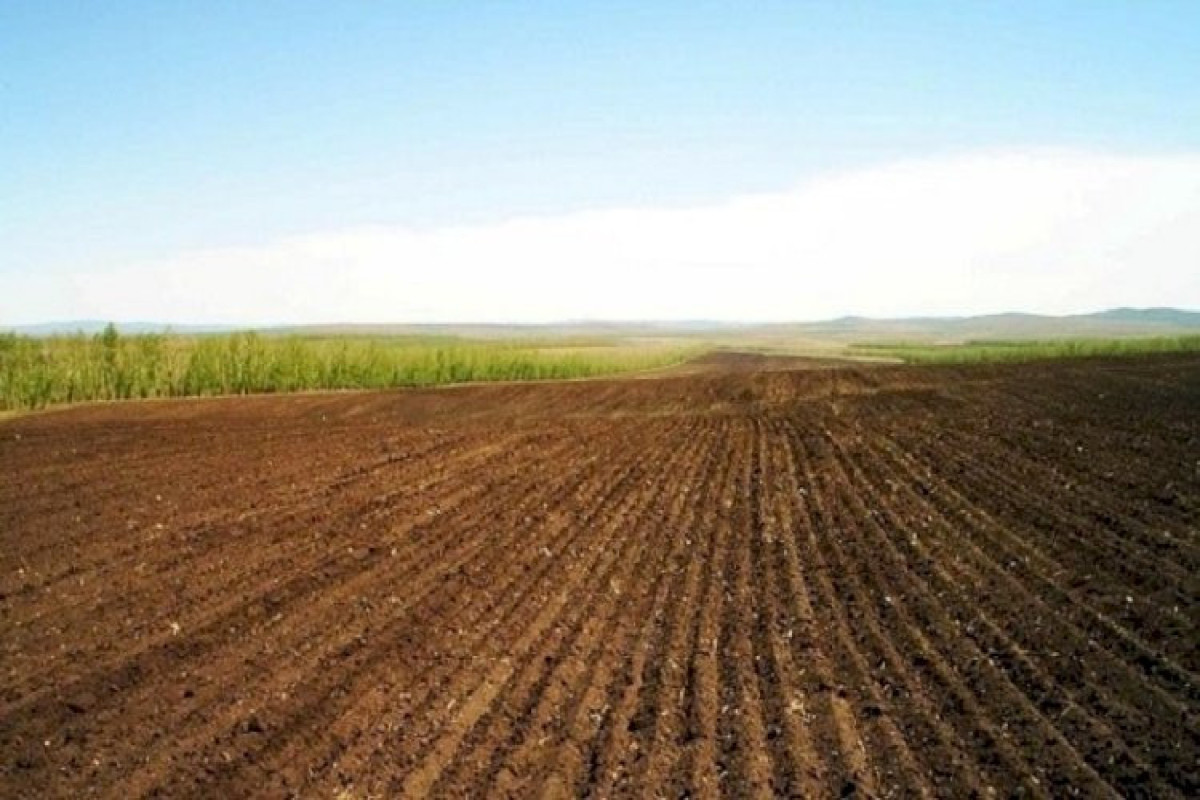 Azərbaycanda növbəti torpaq hərracları keçiriləcək