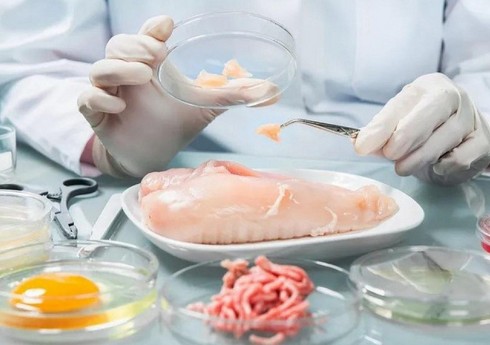 Azərbaycanda sosial müəssisələrdəki şəxslərin qida normaları yenidən müəyyən ediləcək