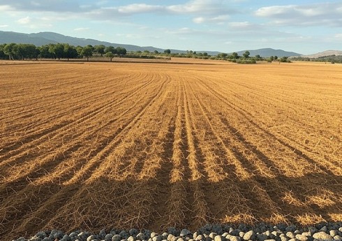 Azərbaycanda SSRİ dövründə ayrılmış torpaq sahələrinin qeydiyyatı asanlaşdırılıb