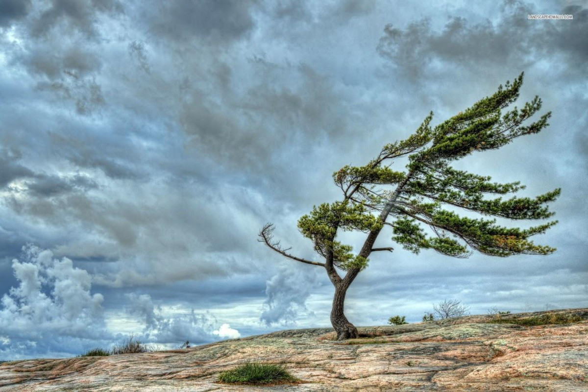 Bölgələrdə külək güclənəcək  - XƏBƏRDARLIQ