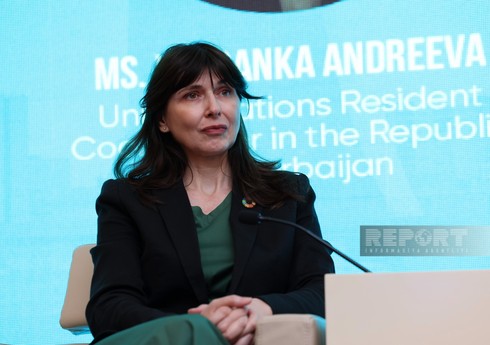 BMT-nin rezident-əlaqələndiricisi: Gəncləri maarifləndirmək üçün bizə “yaşıl proqram”lar lazımdır