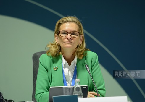 BTİ: Yaşıl Rəqəmsal Fəaliyyət Bəyannaməsinin icrası üçün tam dəstək tələb olunur