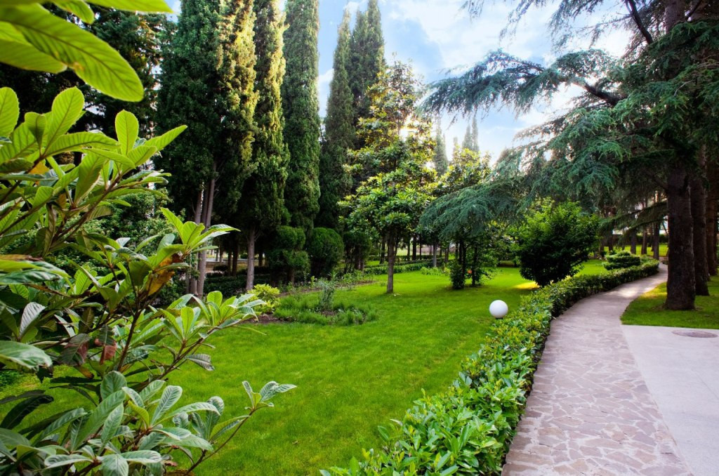 Cəbrayıl və Füzulidə yeni yaşıllıqlar salınacaq