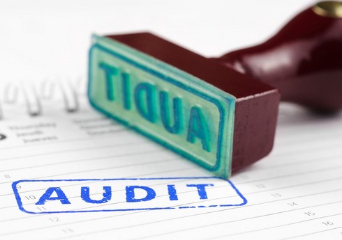 Dövlət Ehtiyatları Agentliyi auditor seçir