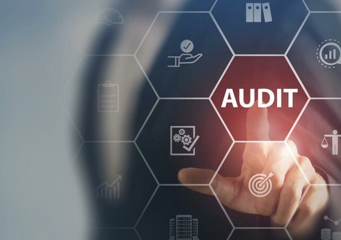 Dövlət Reklam Agentliyi auditor seçib