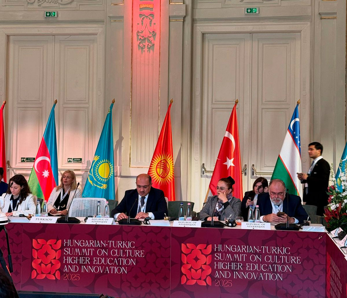 Elm və təhsil nazirinin müavini Macar-Türk Sammitində iştirak edib