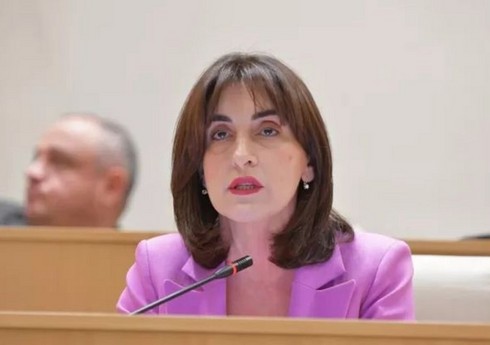 Gürcüstan XİN başçısı Ermənistana səfər planlaşdırır