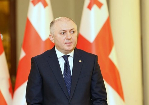Gürcüstanın DTX rəhbəri istefa verib