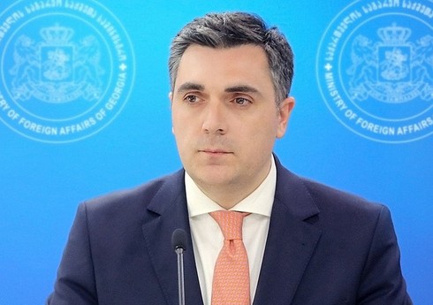 İlya Darçiaşvili: Gürcüstan Azərbaycanla tərəfdaşlığı yüksək qiymətləndirir