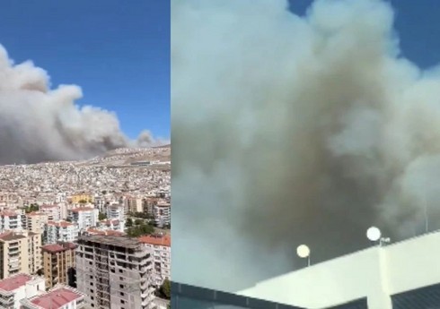 İzmirdə meşə yanır