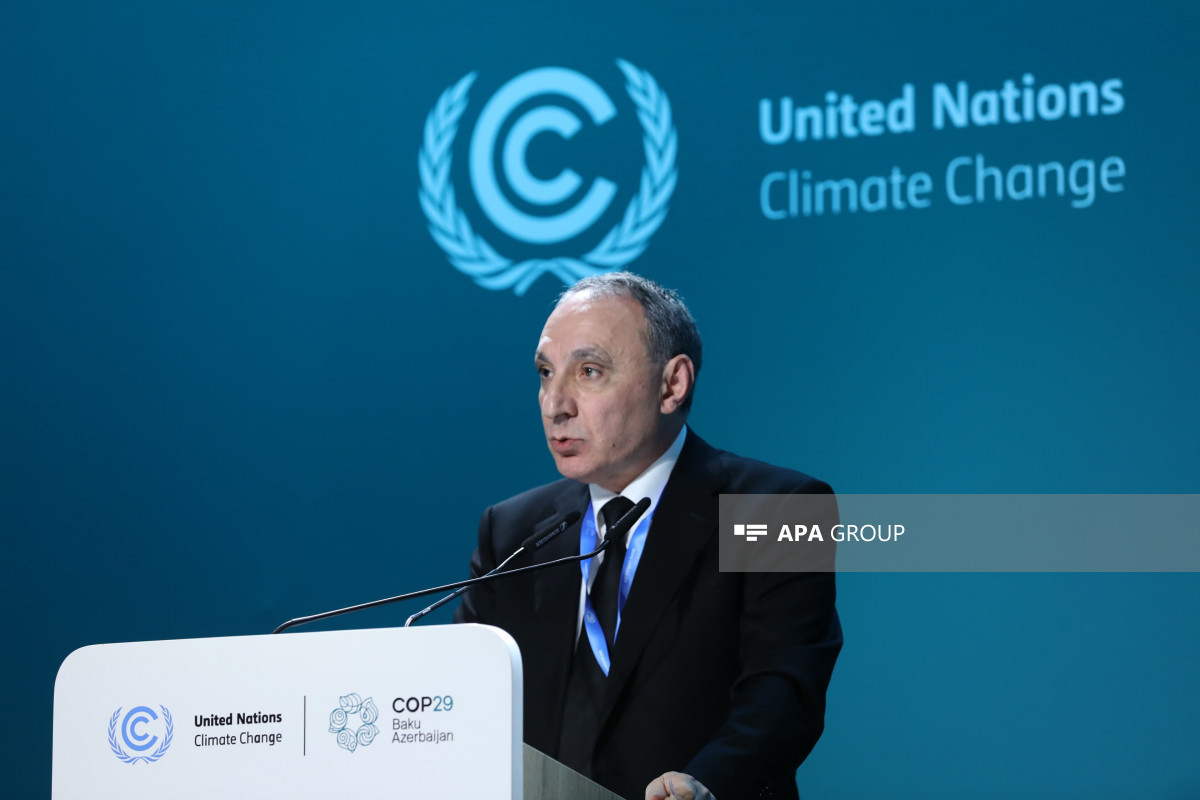 Kamran Əliyev: COP29-a ev sahibliyimiz beynəlxalq ictimaiyyətin bu sahədəki səylərimizi tanımasının göstəricisidir