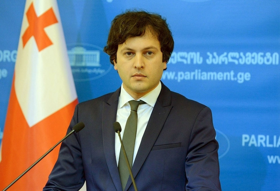 Kobaxidze Latviya Prezidentinin Gürcüstanla vizasız rejimin dayandırılması çağırışına münasibət bildirib