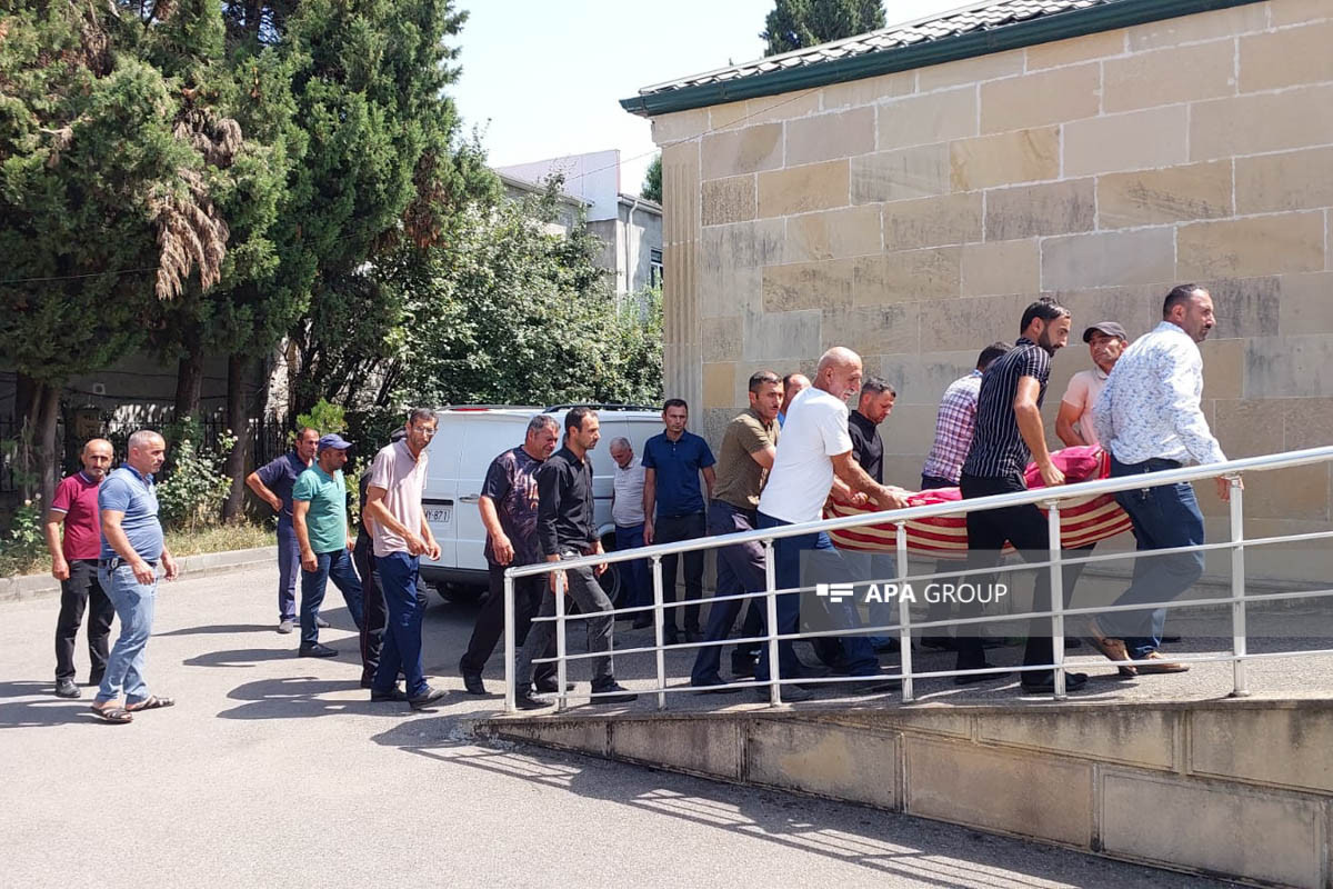 Meşədə üstünə ağac aşan Lerik sakini ölüb