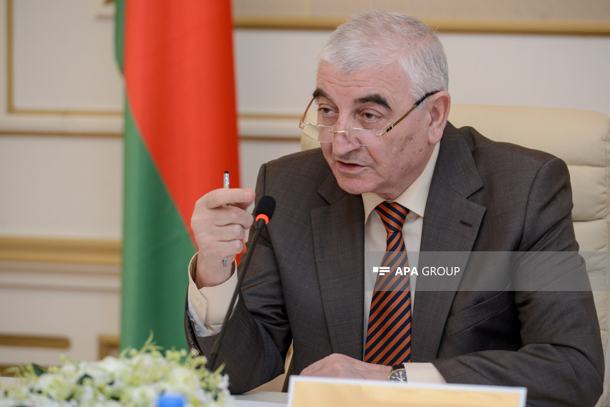 Məzahir Pənahov: Azərbaycanda seçicilərin çoxu qadınlardır