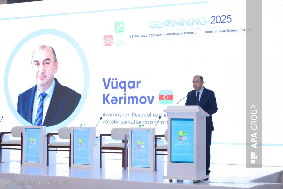 Nazir müavini: İşğal dövründə 52 faydalı qazıntı yatağı ekoloji normalardan kənar istismar olunub