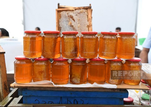 Nazirlik: Bakıdakı bal yarmarkasında ən çox cökə balı satışa çıxarılıb