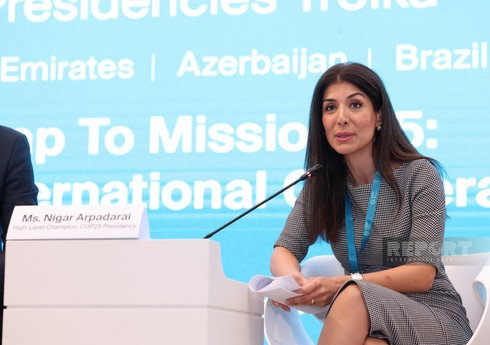 Nigar Arpadarai: Azərbaycanın məqsədi dialoq tərəfləri arasında körpü olmaqdır