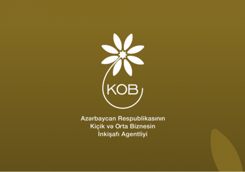 Orxan Məmmədov: "KOB-ların yaşıl transformasiya sahəsindəki problemləri universal xarakter daşıyır"
