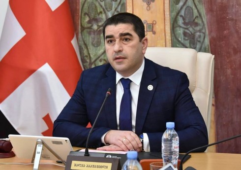 Papuaşvili: Gürcüstan NATO-ya üzvlük üçün hər şeyi etdi, amma qarşılıq olaraq yalnız sözlər eşidir