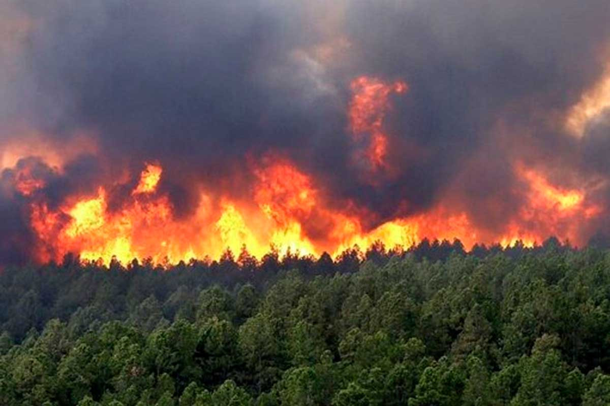 Rusiyada  7 689 ha meşə yanır