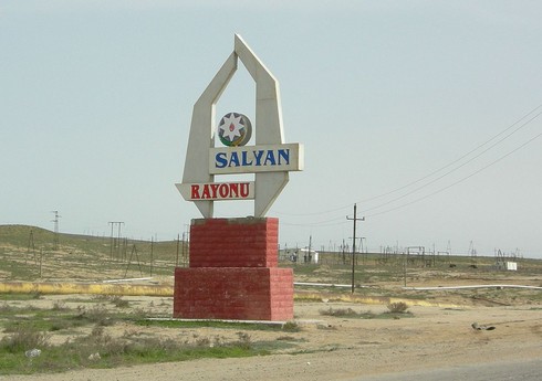 Salyanda əhalinin sayı artıb