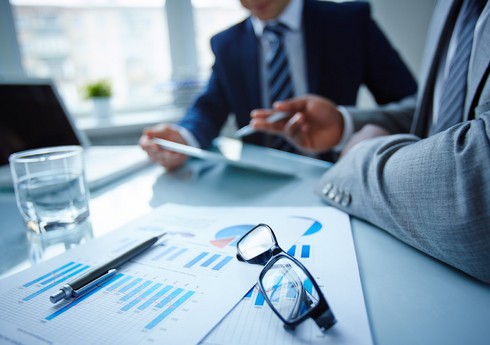 TƏBİB auditor seçir