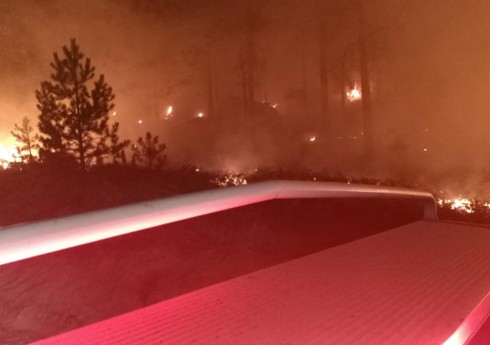 Türkiyənin iki vilayətində meşə yanır