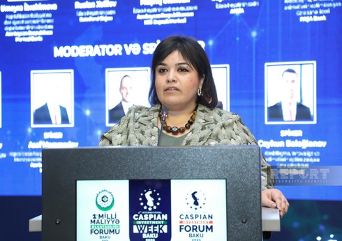 Umeyra İbrahimova: "Kapital bazarının inkişafı iqtisadi artımın stimullaşdırılmasında həlledici rol oynayacaq"