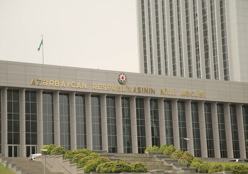 VII çağırış Milli Məclisin komitələri formalaşdırılıb